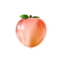Peach 10 Pack